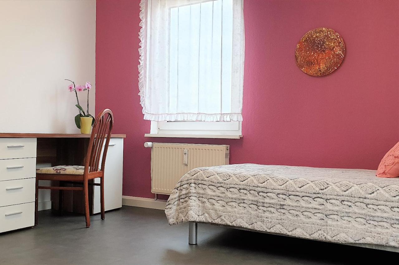 Apartment Bayreuth, Grosse Ferienwohnung Im Haus Mit Kunst, 3 Schlafzimmer, Kueche, Parkplatz Buitenkant foto