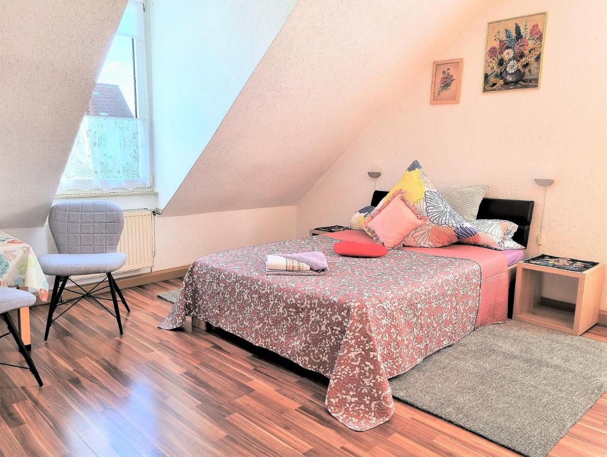 Apartment Bayreuth, Grosse Ferienwohnung Im Haus Mit Kunst, 3 Schlafzimmer, Kueche, Parkplatz Buitenkant foto